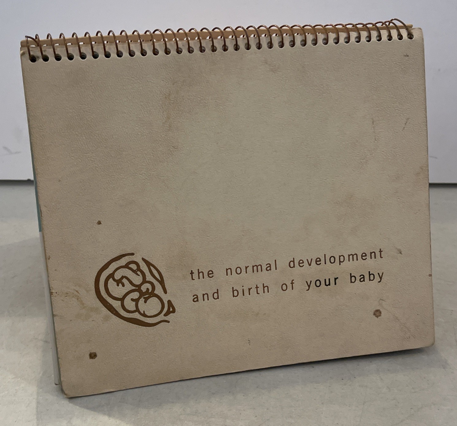 Vintage Mead Johnson Baby Development Flip Chart Natalins Prenatal Tablet Book