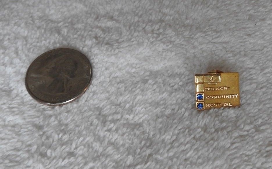 (3) DELNOR COMMUNITY HOSPITAL GENEVA IL 10 20 40 YEAR AWARD 10K GF NURSING PINS