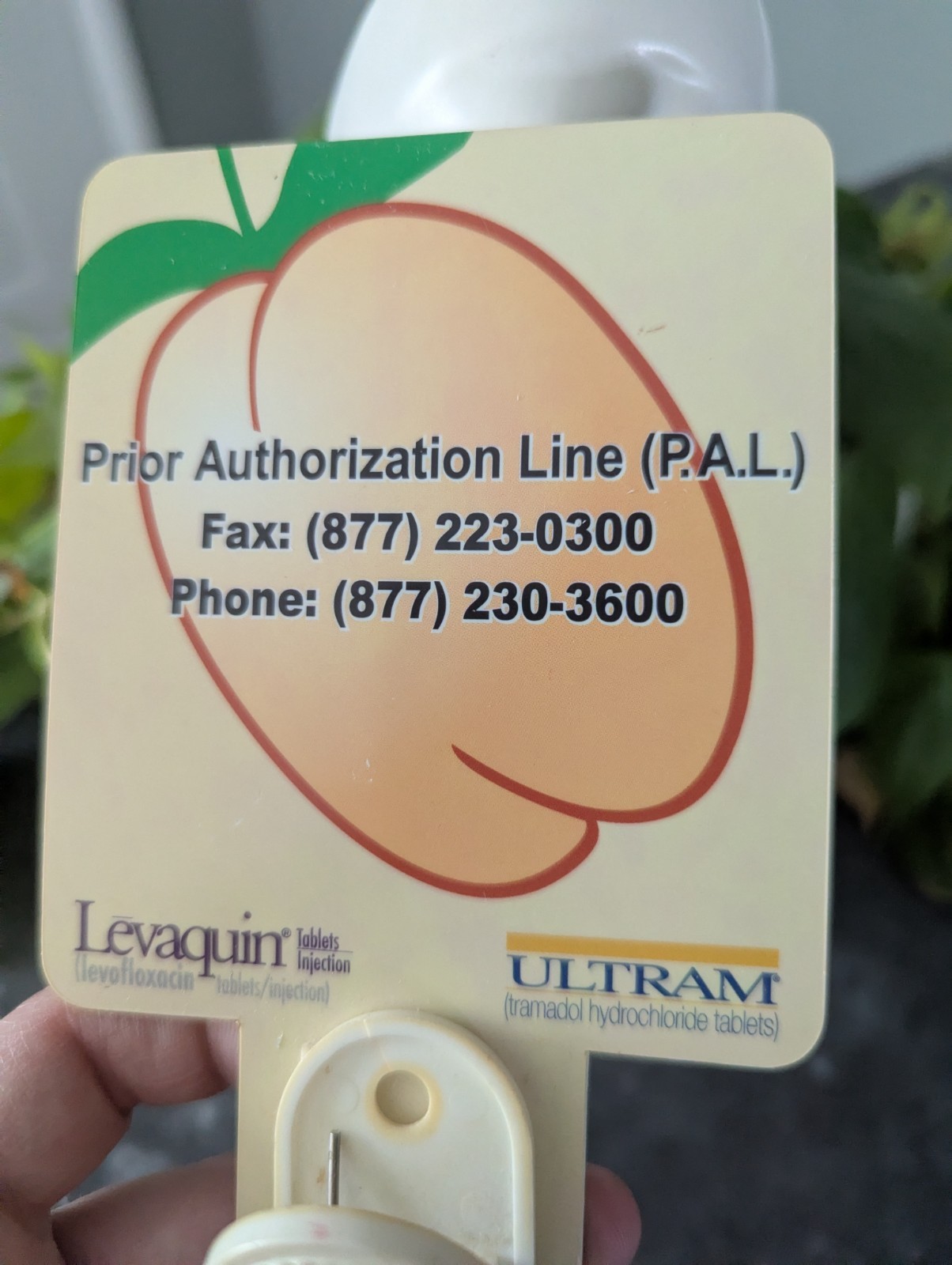Vintage Levaquin Ultram Medicine Refrigerator Magnet Memo Clip Drug Rep Merch