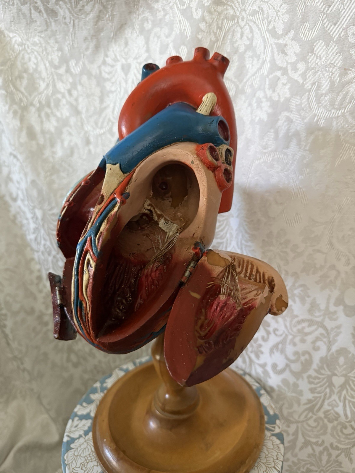 Vintage Denoyer-Geppert Anatomical Heart With Stand, Flaps Open