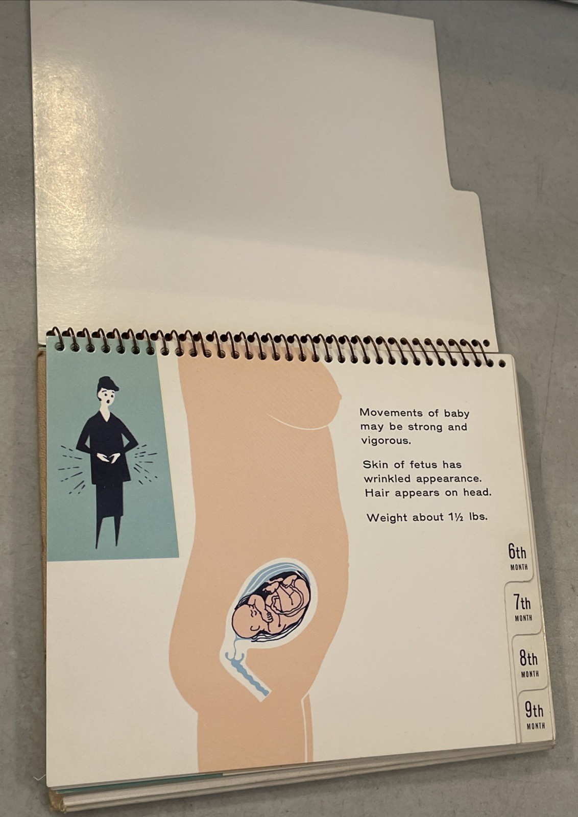 Vintage Mead Johnson Baby Development Flip Chart Natalins Prenatal Tablet Book
