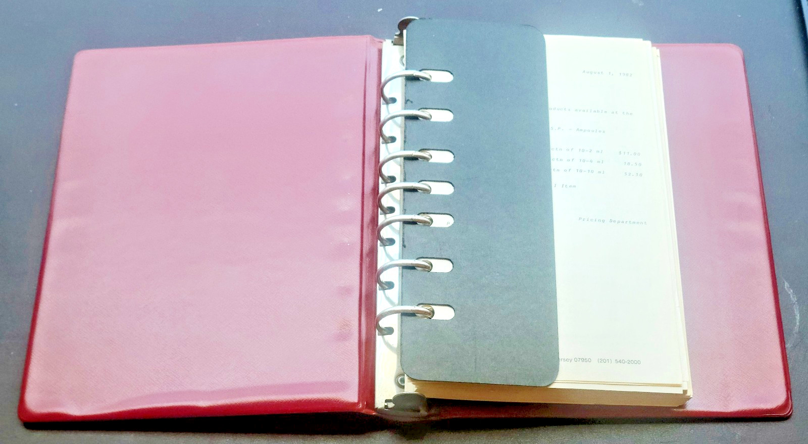 1982 Parke Davis Pharmaceutical Sales Rep Price Guide 7-Ring Binder Catalog VTG