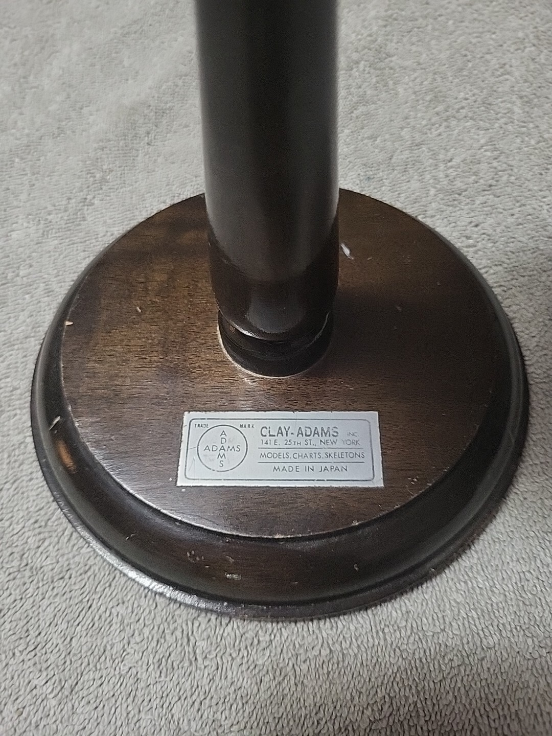 Vintage Clay Adams Medical Heart Model – Made in Japan