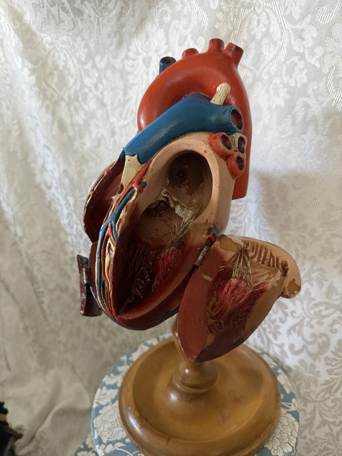 Vintage Denoyer-Geppert Anatomical Heart With Stand, Flaps Open