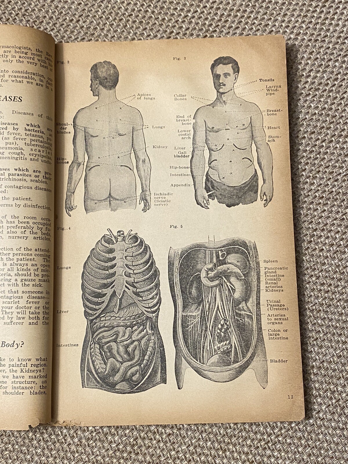 Vintage Advertising Heumann Family Health Book Patent Quack Medicine 1936 NYC