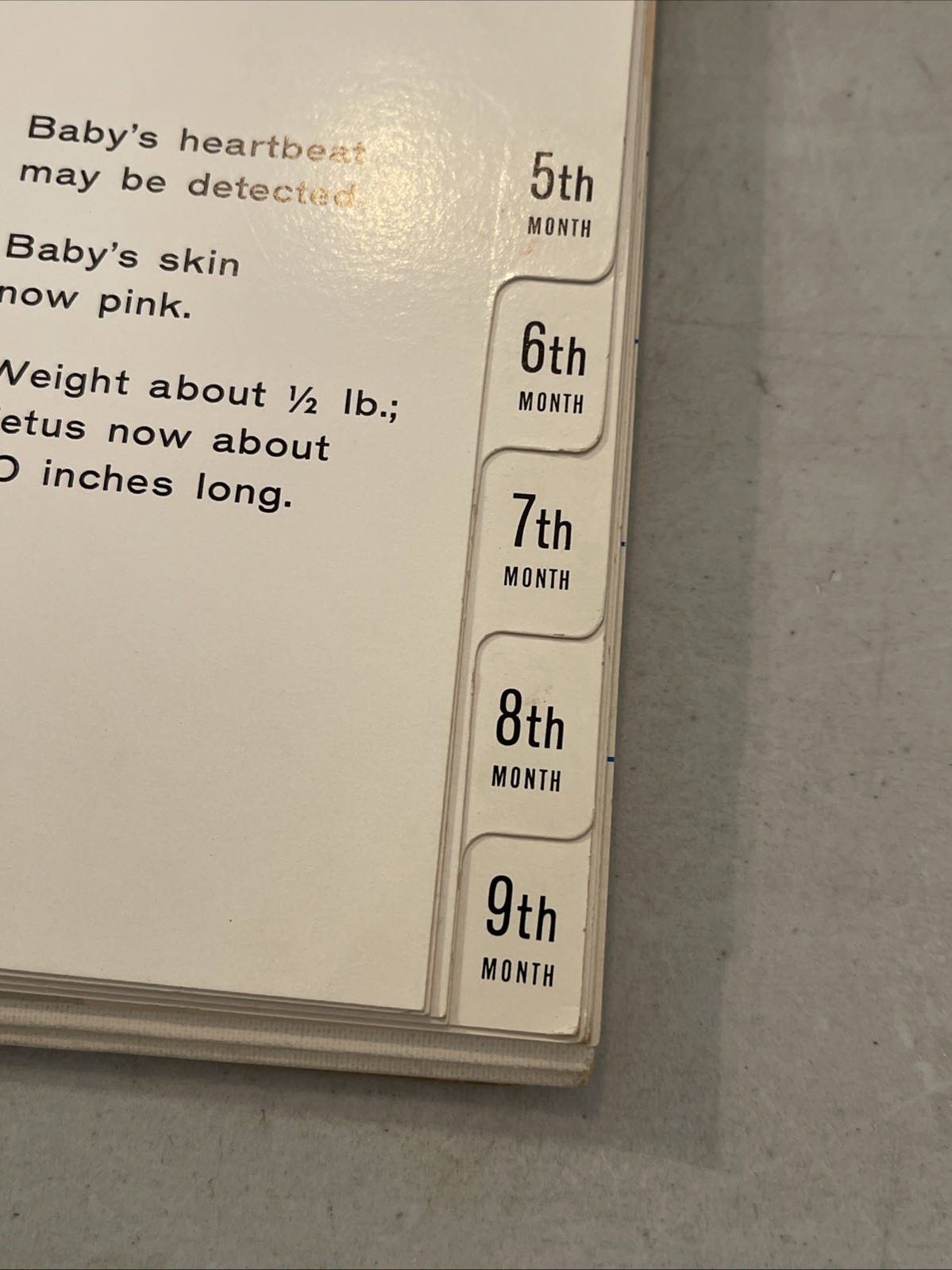 Vintage Mead Johnson Baby Development Flip Chart Natalins Prenatal Tablet Book