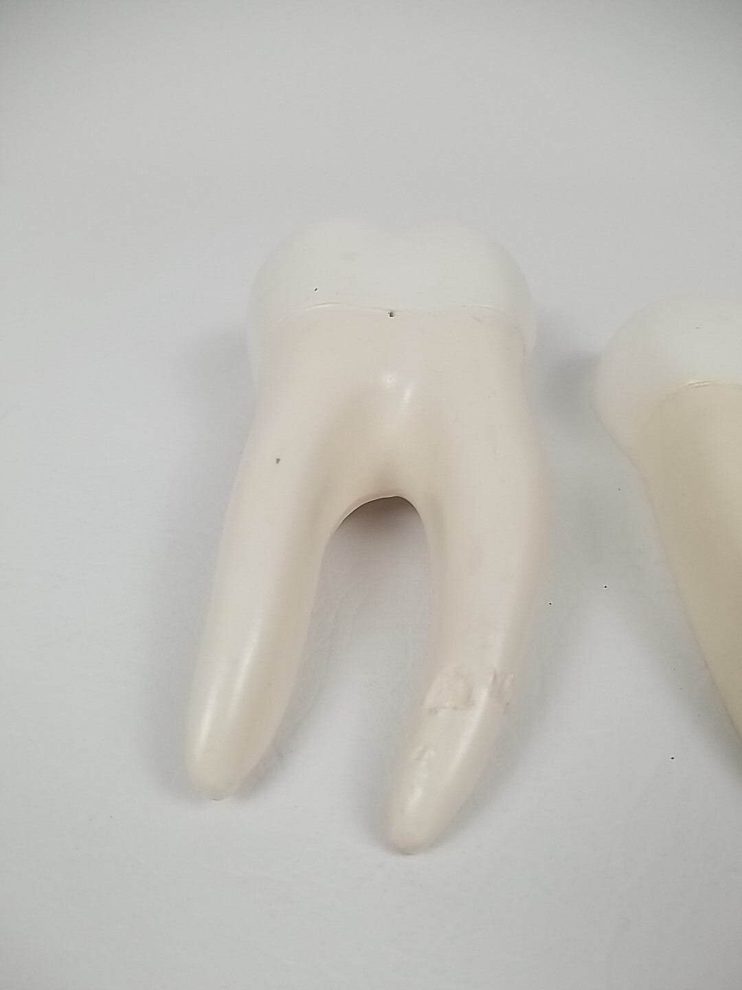 Dental Dentistry Cavity Tooth Sectional 2 Piece Teaching Model Vintage