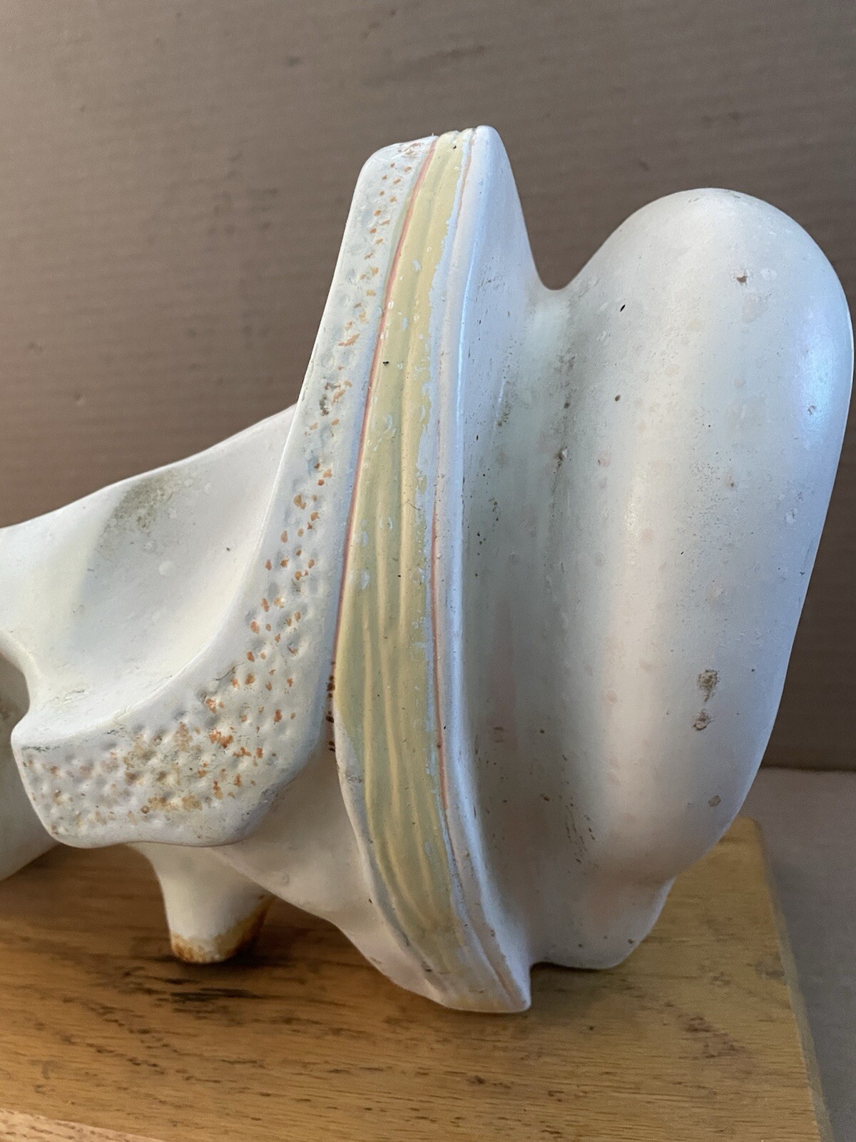 Vintage 1960’s HUMAN EAR ANATOMY MODEL Display Denoyer Geppert Cleveland OH