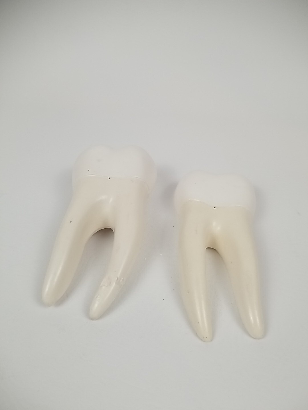 Dental Dentistry Cavity Tooth Sectional 2 Piece Teaching Model Vintage