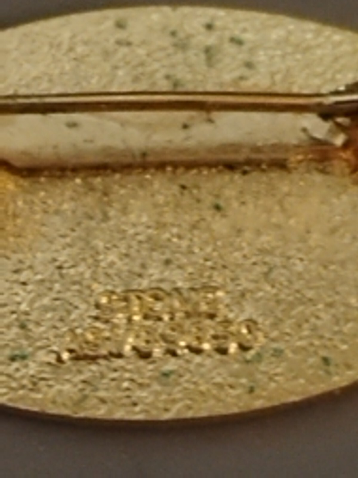 Nursing Assistant Specialist Manor Stamped Pin