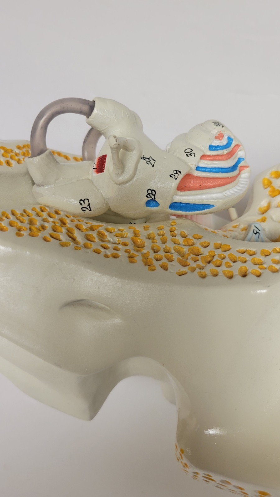 Denoyer Geppert Vintage Large Ear Model Anatomy Display Painted