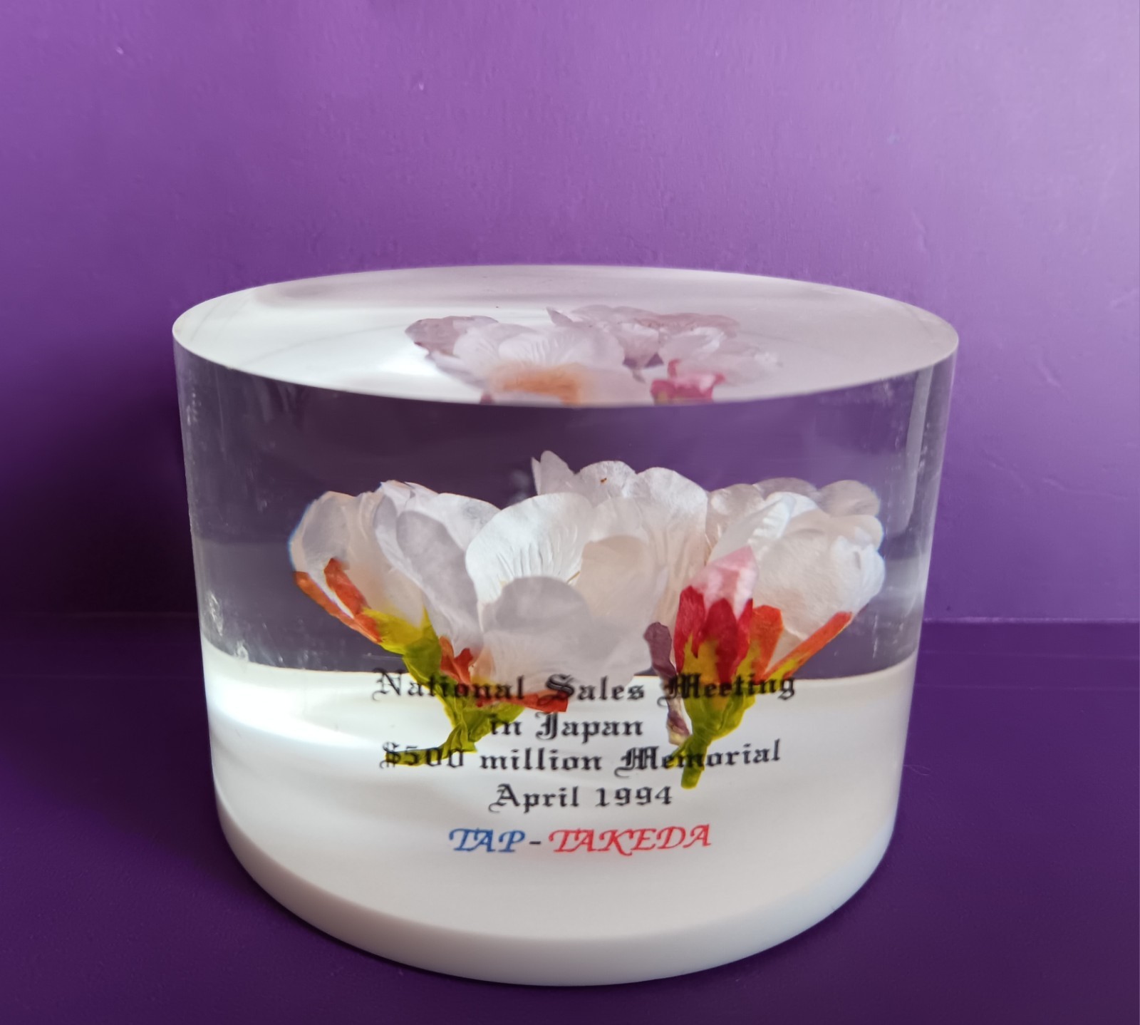 DRUG REP LUPRON DEPOT & LUPRON LUCITE PAPERWEIGHT NATIONAL SALES JAPAN