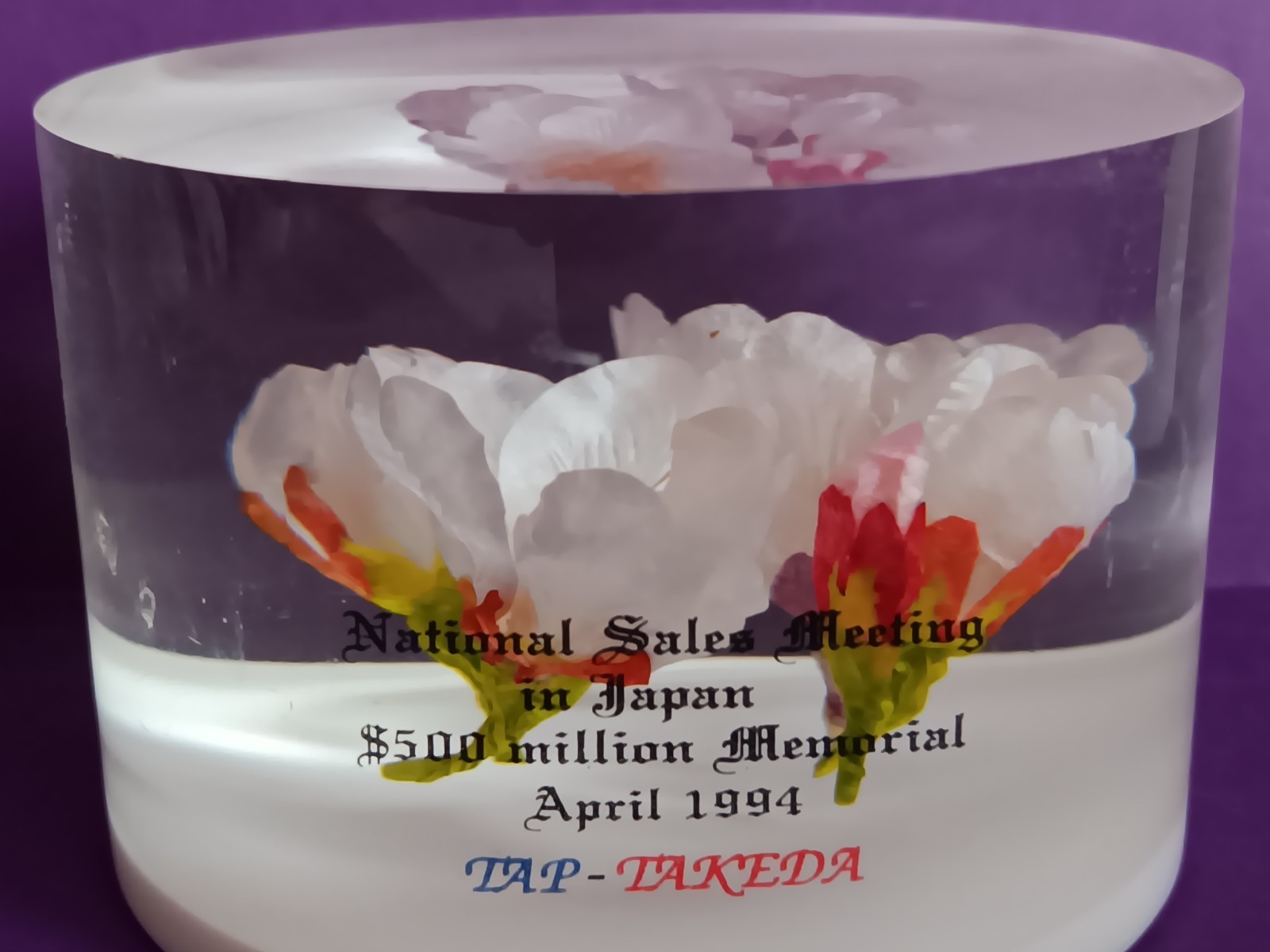 DRUG REP LUPRON DEPOT & LUPRON LUCITE PAPERWEIGHT NATIONAL SALES JAPAN