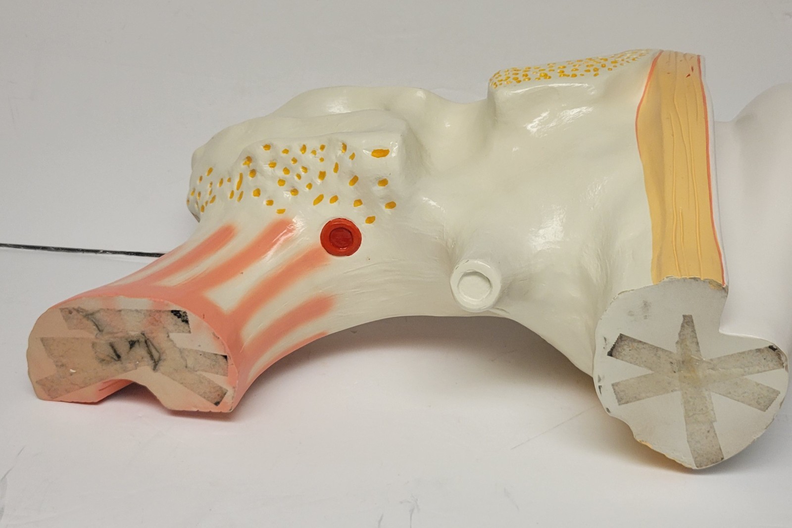 Denoyer Geppert Vintage Large Ear Model Anatomy Display Painted
