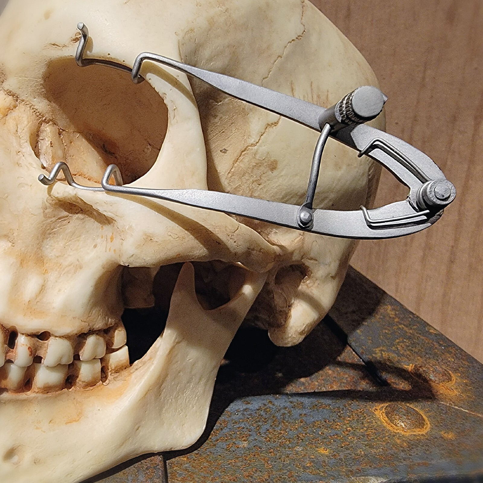 X2 Eye Speculum Set, Vintage Medical Style Eye Spreader, Oddities, Curiosities