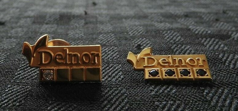 (3) DELNOR COMMUNITY HOSPITAL GENEVA IL 10 20 40 YEAR AWARD 10K GF NURSING PINS