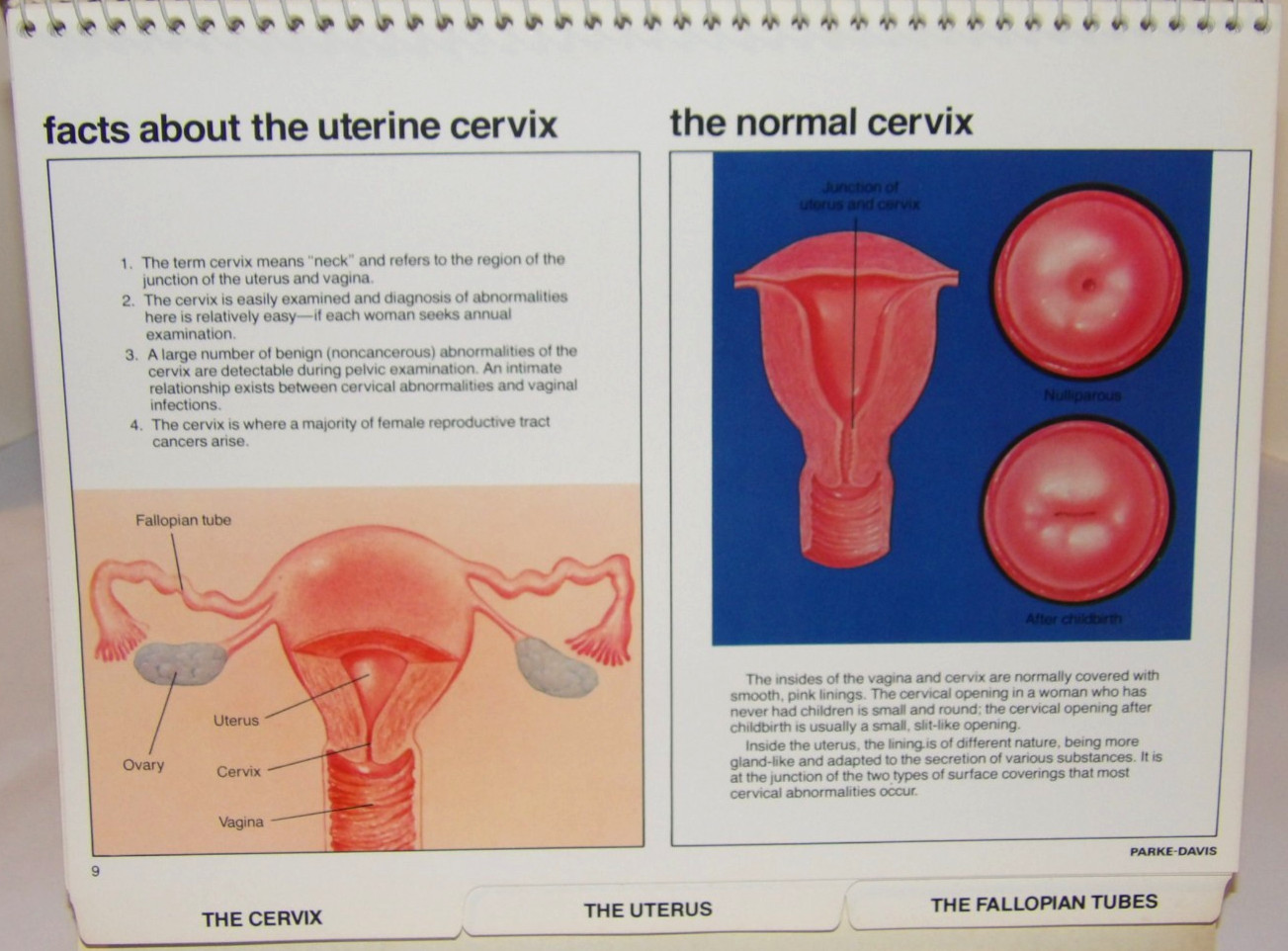 VTG 1978 DOCTOR OFFICE FLIP CHART/BOOK! “FEMALE REPRODUCTIVE ORGANS” PARKE-DAVIS