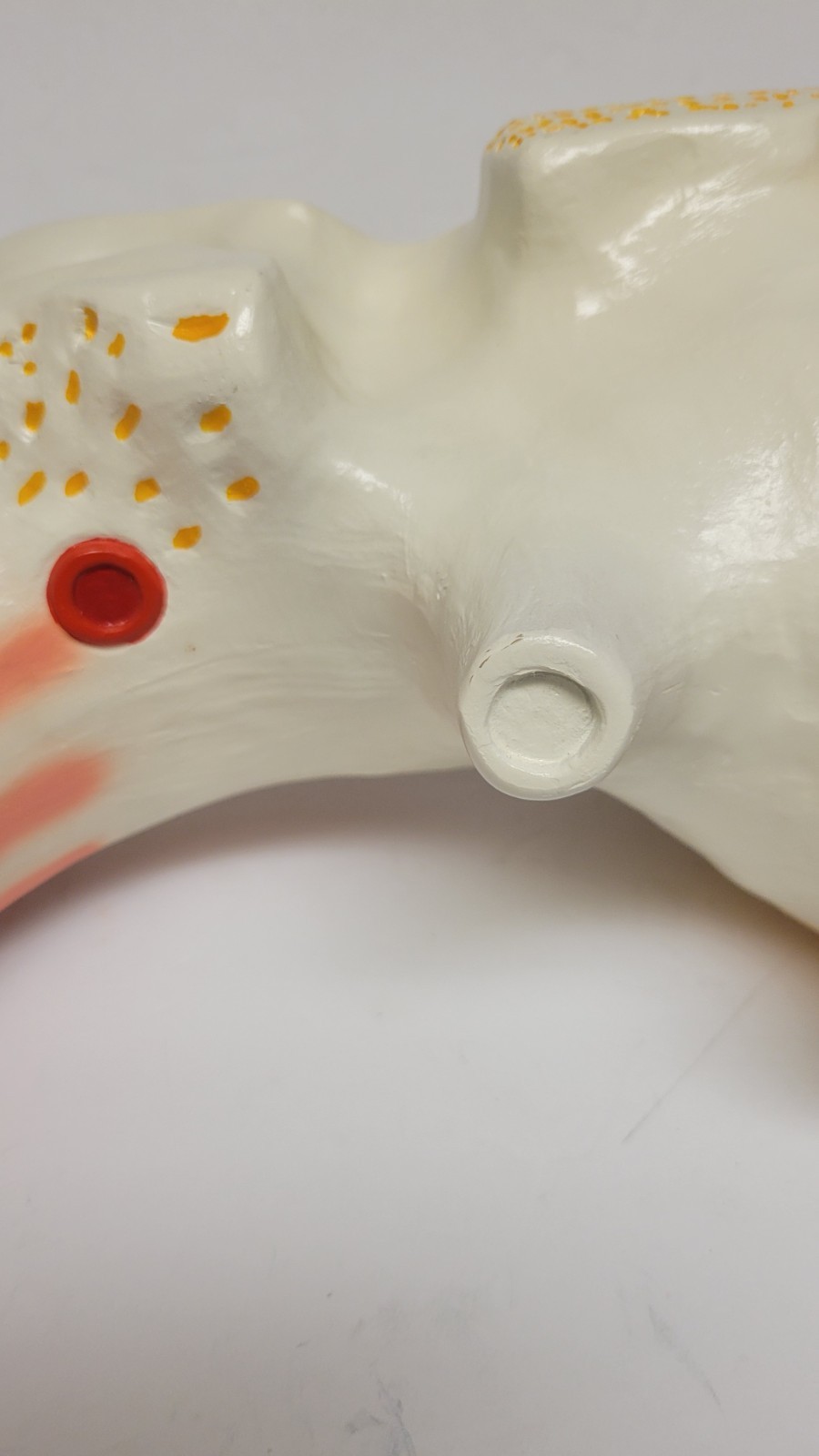 Denoyer Geppert Vintage Large Ear Model Anatomy Display Painted