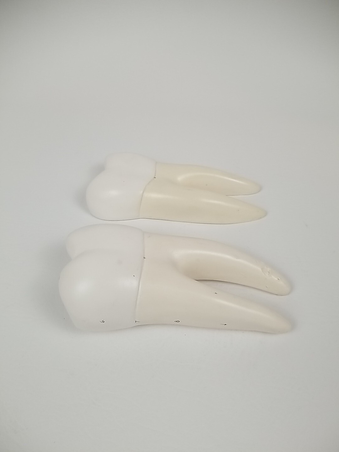 Dental Dentistry Cavity Tooth Sectional 2 Piece Teaching Model Vintage