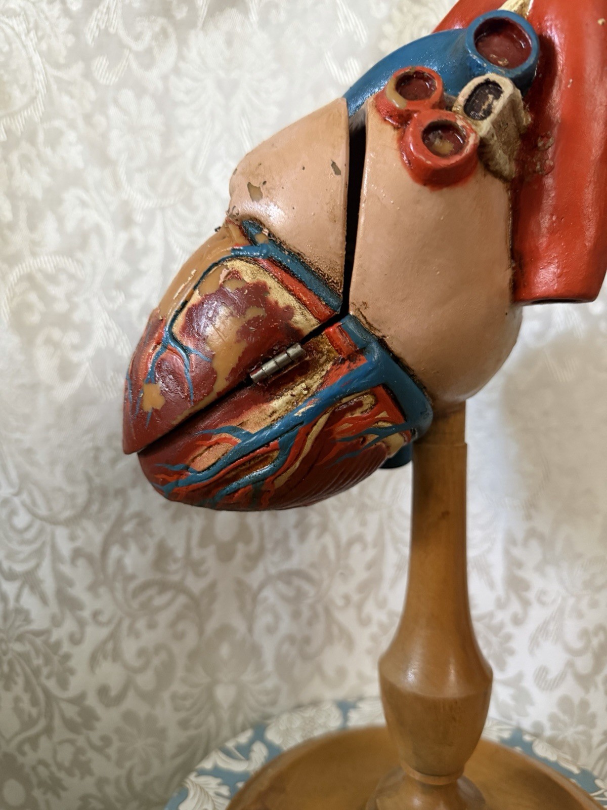Vintage Denoyer-Geppert Anatomical Heart With Stand, Flaps Open