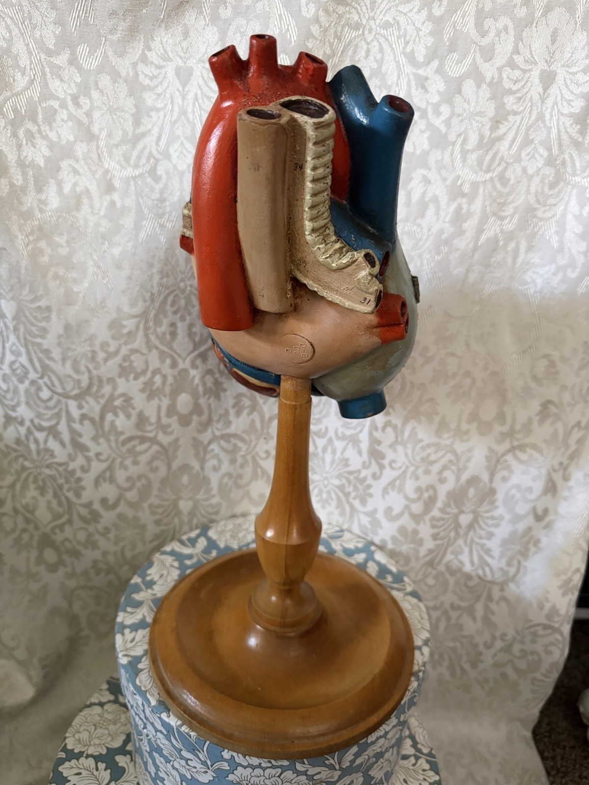 Vintage Denoyer-Geppert Anatomical Heart With Stand, Flaps Open