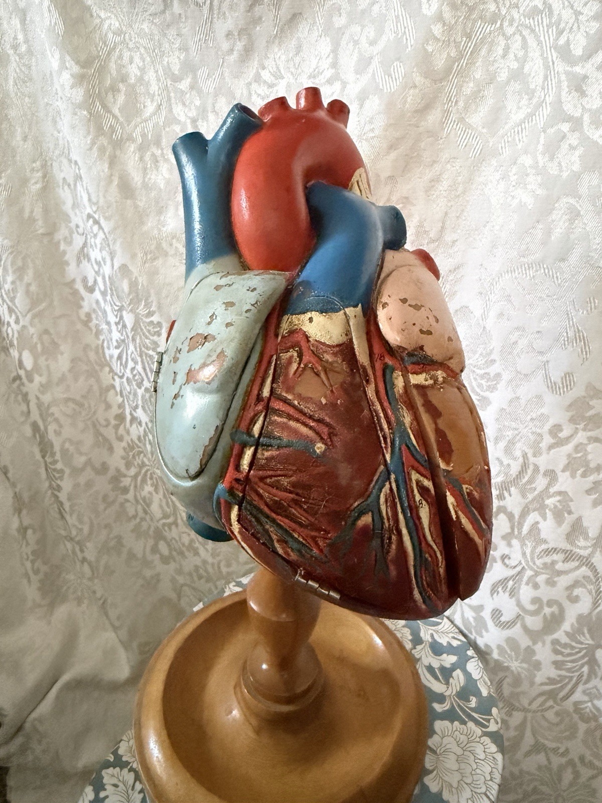Vintage Denoyer-Geppert Anatomical Heart With Stand, Flaps Open