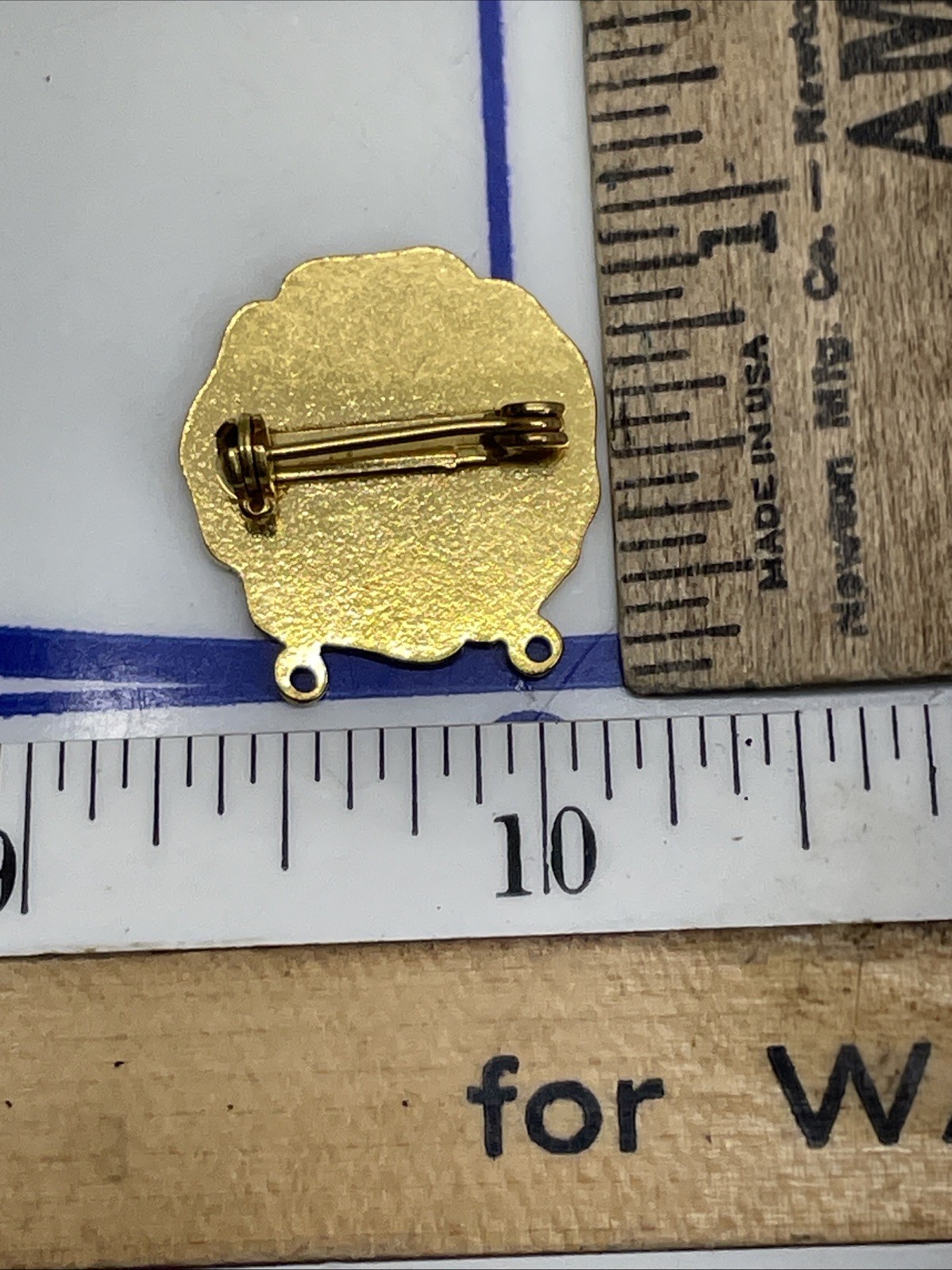 Rare Palm Springs General Hospital Volunteer Service Pin ￼